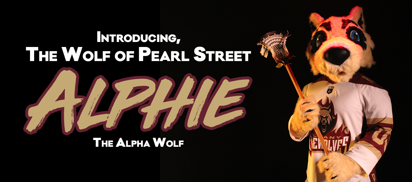 Alphie, The Wolf of Pearl Street